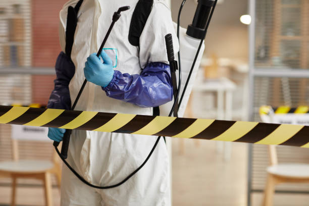 Professional Sewage Cleanup technician working in Montreat, NC